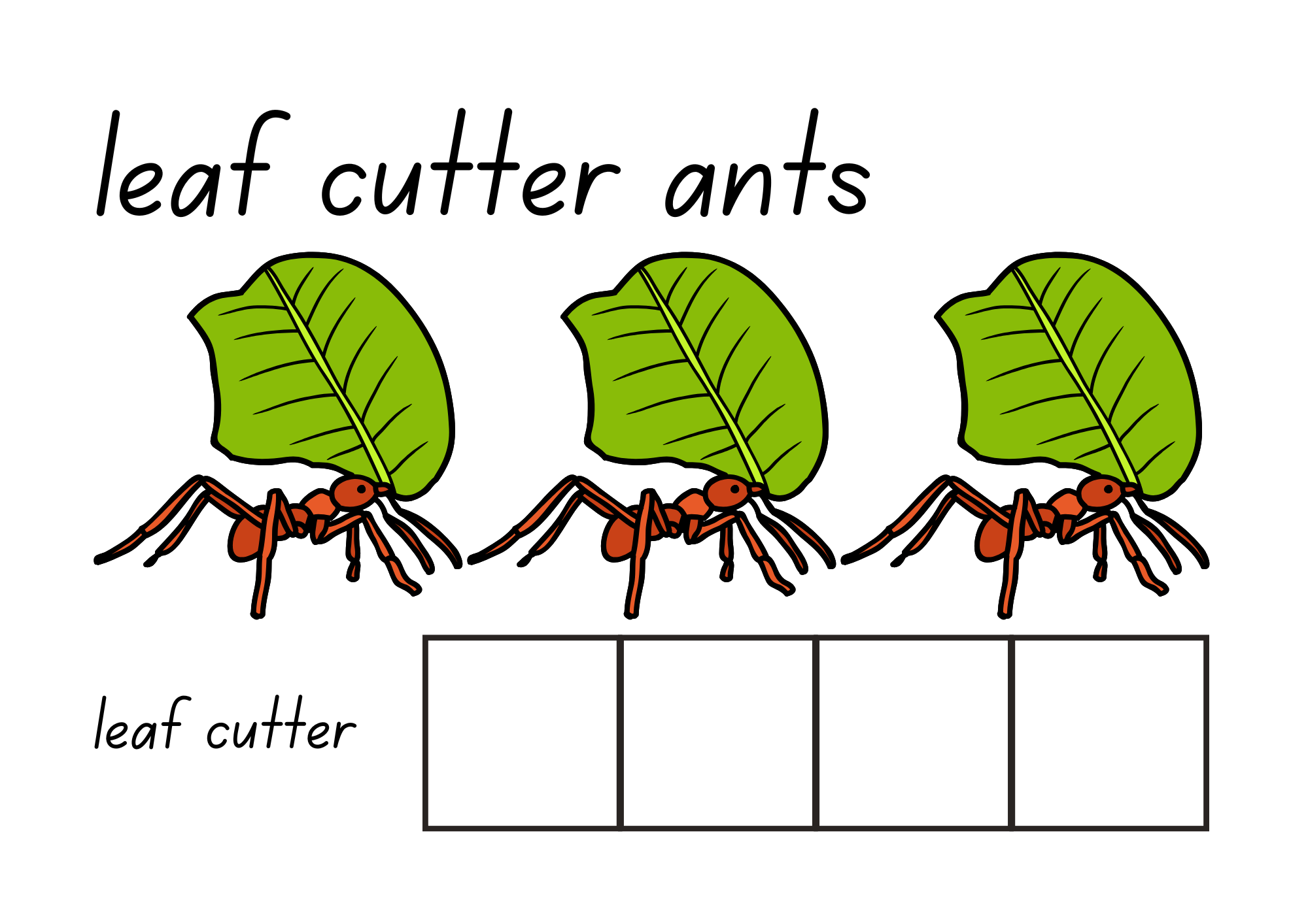 Name me (Rainforest Animals)