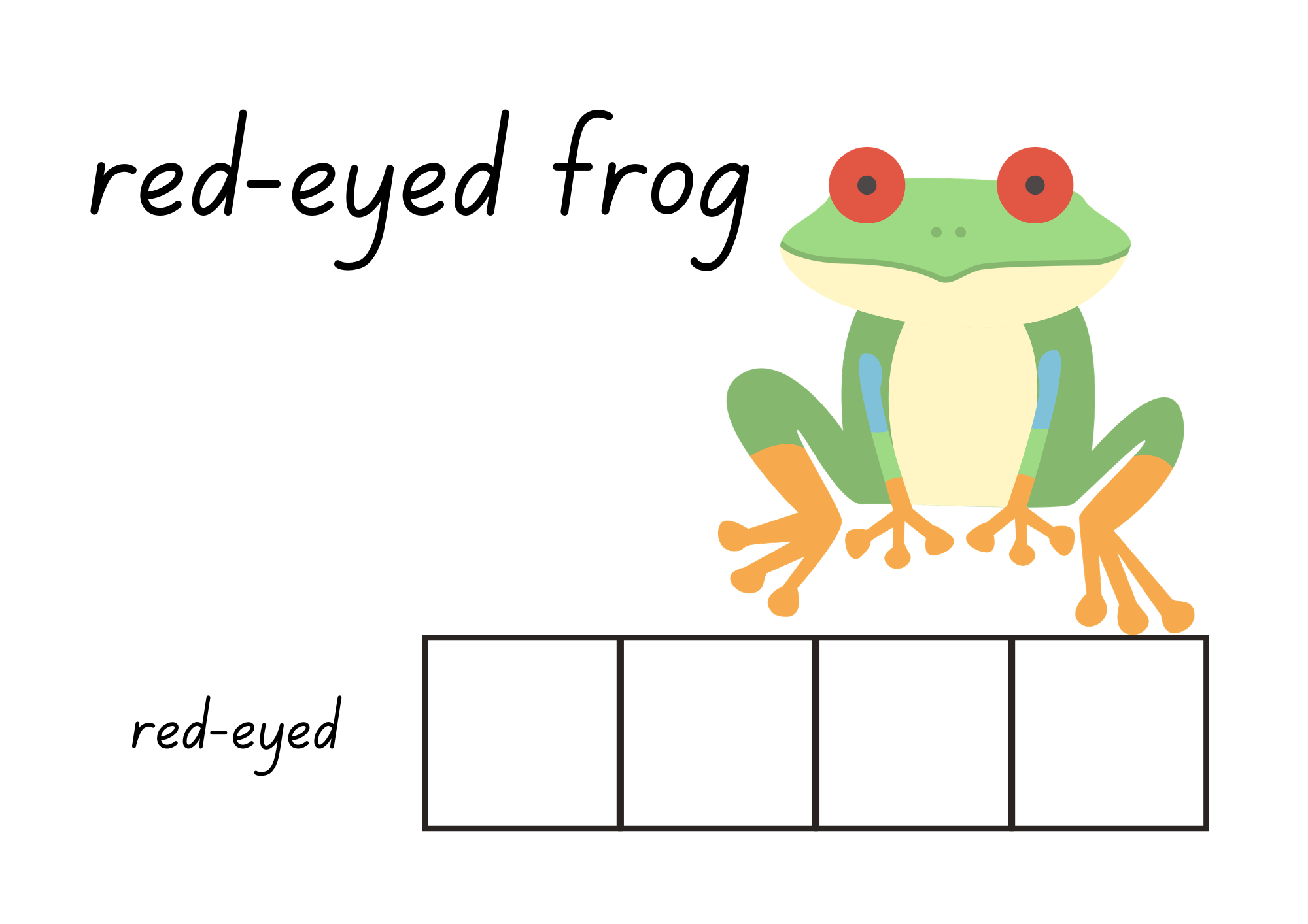 Name me (Rainforest Animals)